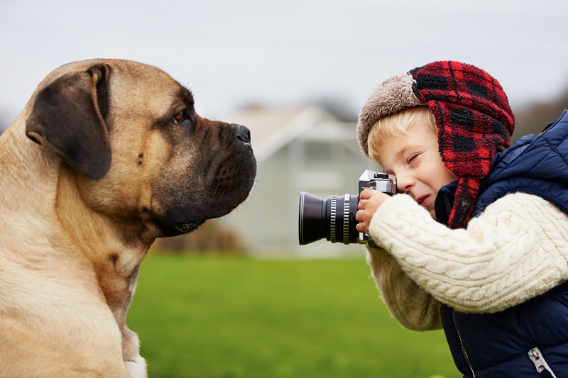 Kind versucht, seinen Hund zu fotografieren